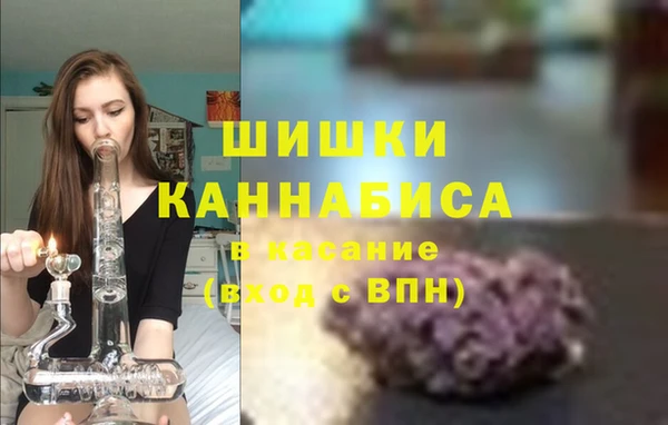 соль ск Алзамай