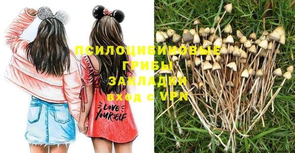 синтетический гашиш Алексин