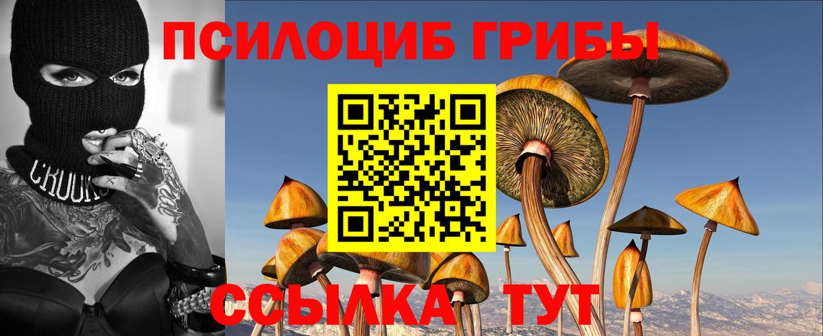 Псилоцибиновые грибы прущие грибы  Вход с VPN  Учалы 